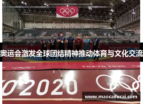 奥运会激发全球团结精神推动体育与文化交流